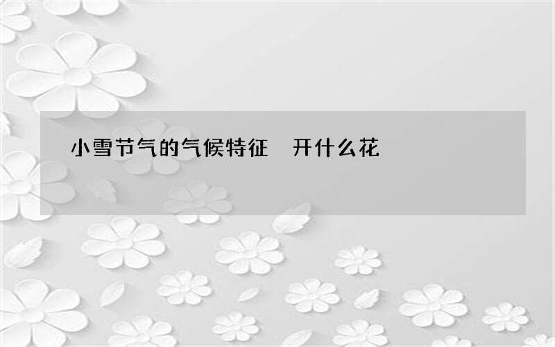 小雪节气的气候特征 开什么花
